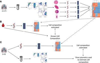 DNA Methylation Profiles of Purified Cell Types in Bronchoalveolar Lavage: Applications for Mixed Cell Paediatric Pulmonary Studies